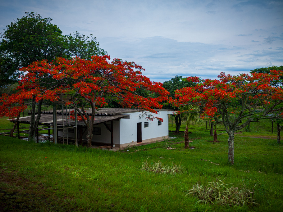 Ausflüge in Paraguay - Independencia
